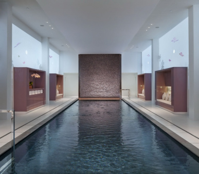 Фото Mandarin Oriental Paris Palace NEW!!! (Франция, Париж) 30