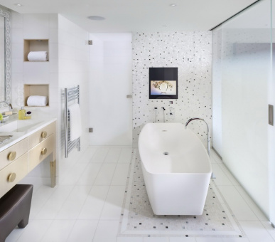 Фото Mandarin Oriental Paris Palace NEW!!! (Франция, Париж) 11