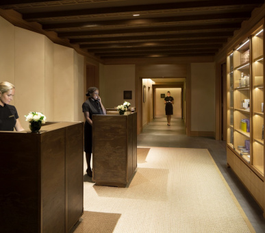 Фото The Peninsula Paris (Франция, Париж) 60