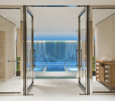 Фото The Peninsula Paris (Франция, Париж) 57