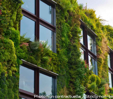 Картинка Sofitel Paris Le Faubourg 33 Фото Sofitel Paris Le Faubourg 33