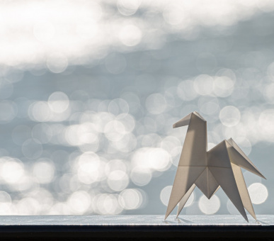 Фото Cheval Blanc Paris 20