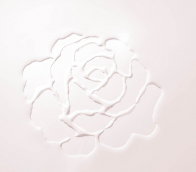 Фото Cheval Blanc Paris 4