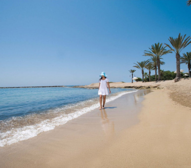 Картинка Asimina Suites Hotel (Кипр, Пафос) 5 Фото Asimina Suites Hotel (Кипр, Пафос) 5