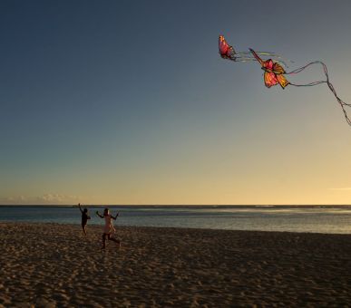 Картинка 36 Фото 36