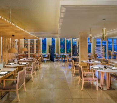 Картинка 15 Фото 15