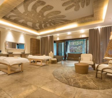 Картинка 39 Фото 39