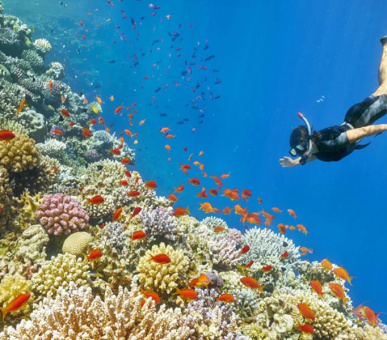 Фото Anantara Iko Mauritius Resort & Villas 37