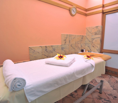 Фото Savoy Prague (Чехия, Прага) 6