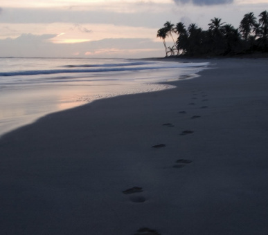 Картинка Sivory Punta Cana (Доминиканская Республика, Пунта Кана) 16 Фото Sivory Punta Cana (Доминиканская Республика, Пунта Кана) 16