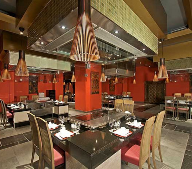 Картинка Iberostar Grand Hotel Bavaro (Доминиканская Республика, Пунта Кана) 17 Фото Iberostar Grand Hotel Bavaro (Доминиканская Республика, Пунта Кана) 17