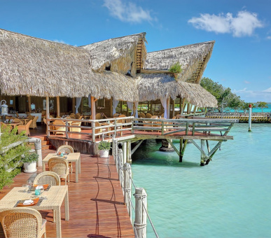 Фото Tortuga Bay (Доминиканская Республика, Пунта Кана) 15