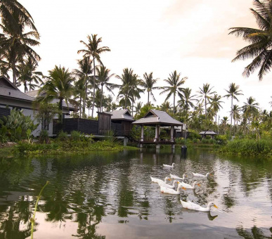 Картинка 39 Фото 39