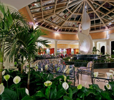 Картинка Gran Bahia Principe Jamaica (Ямайка, Раневей Бей) 2 Фото Gran Bahia Principe Jamaica (Ямайка, Раневей Бей) 2