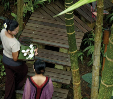 Картинка Four Seasons Resort Koh Samui (Таиланд, о. Самуи) 15 Фото Four Seasons Resort Koh Samui (Таиланд, о. Самуи) 15