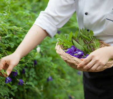 Картинка Santiburi Beach Resort Golf Spa 19 Фото Santiburi Beach Resort Golf Spa 19