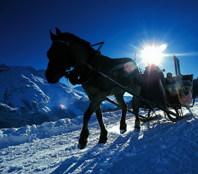 Фото Badrutt's Palace (Швейцария, Санкт-Мориц) 27
