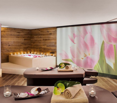 Фото Giardino Mountain (Швейцария, Санкт-Мориц) 14