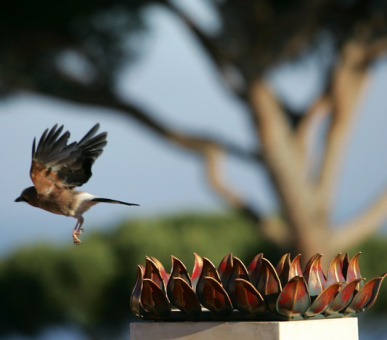 Фото Chateau de la Messardiere (Франция, Сен Тропе) 12