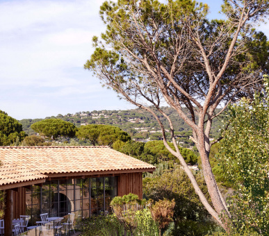 Фото Lily of the Valley Hotel 12