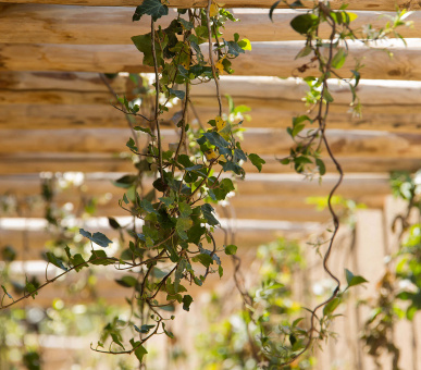 Фото Lily of the Valley Hotel 11