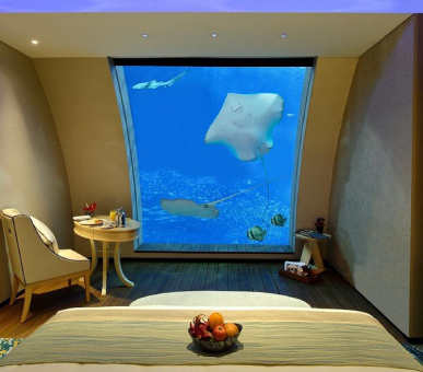 Картинка 4 Фото 4