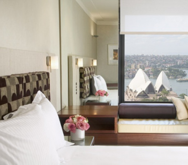 Картинка 19 Фото 19