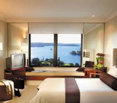 Картинка 4 Фото 4