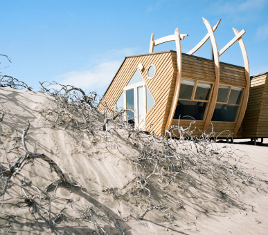 Картинка 14 Фото 14