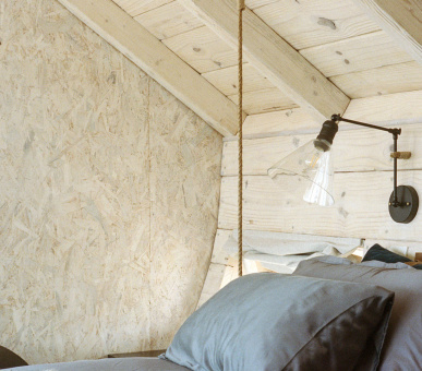 Картинка 27 Фото 27