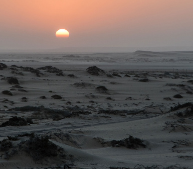 Картинка 9 Фото 9