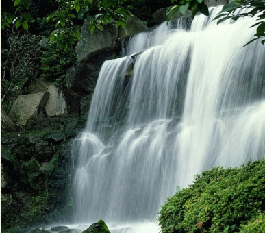 Фото Four Seasons Hotel Tokyo at Chinzan-so (Япония, Токио) 12