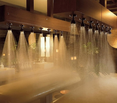 Фото Four Seasons Hotel Tokyo at Chinzan-so (Япония, Токио) 6