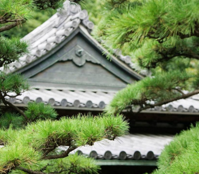 Фото Four Seasons Hotel Tokyo at Marunouchi (Япония, Токио) 26