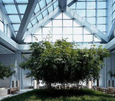 Картинка Park Hyatt Tokyo (Япония, Токио) 6 Фото Park Hyatt Tokyo (Япония, Токио) 6