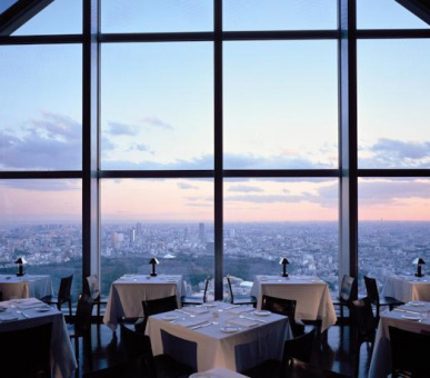 Картинка Park Hyatt Tokyo (Япония, Токио) 19 Фото Park Hyatt Tokyo (Япония, Токио) 19