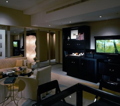 Картинка Park Hyatt Tokyo (Япония, Токио) 15 Фото Park Hyatt Tokyo (Япония, Токио) 15