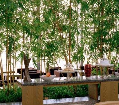 Картинка Park Hyatt Tokyo (Япония, Токио) 12 Фото Park Hyatt Tokyo (Япония, Токио) 12