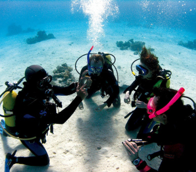 Фото Hillside (Турция, Фетхие) 7