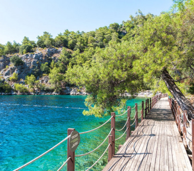 Фото Hillside (Турция, Фетхие) 16