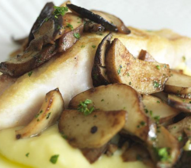 Картинка Savoy (Италия, Флоренция) 39 Фото Savoy (Италия, Флоренция) 39