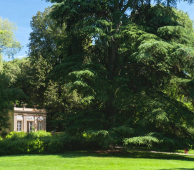 Картинка Four Seasons Hotel Firenze (Италия, Флоренция) 23 Фото Four Seasons Hotel Firenze (Италия, Флоренция) 23