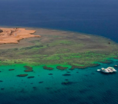 Фото Baron Palace Sahl Hasheesh (Египет, Хургада) 5