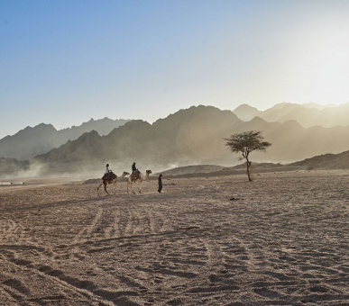 Картинка Four Seasons Resort Sharm El Sheikh 73 Фото Four Seasons Resort Sharm El Sheikh 73