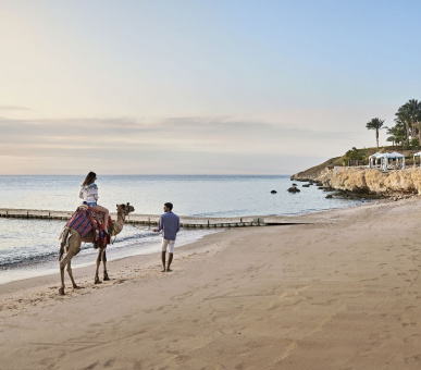 Картинка Four Seasons Resort Sharm El Sheikh 12 Фото Four Seasons Resort Sharm El Sheikh 12