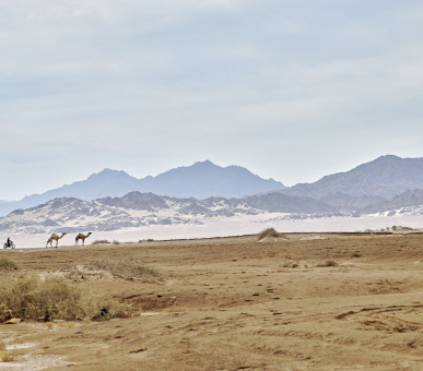 Картинка Four Seasons Resort Sharm El Sheikh 69 Фото Four Seasons Resort Sharm El Sheikh 69