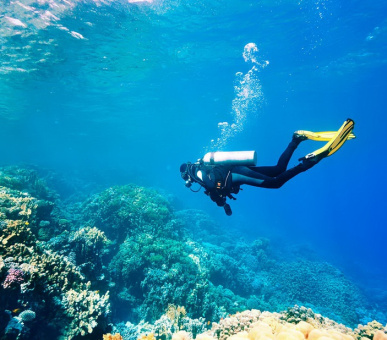 Фото Rixos Seagate Sharm (Египет, Шарм эль Шейх) 14