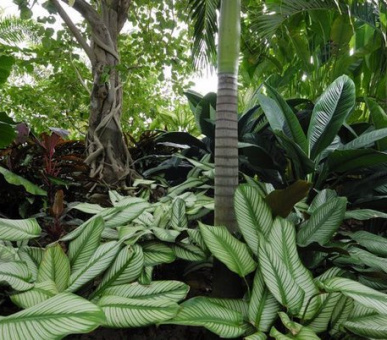 Картинка Princess d'Annam Resort 15 Фото Princess d'Annam Resort 15