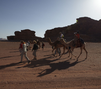 Картинка Evason Ma'In Hot Springs and Six Senses Spa (Иордания, Термальные источники) 13 Фото Evason Ma'In Hot Springs and Six Senses Spa (Иордания, Термальные источники) 13