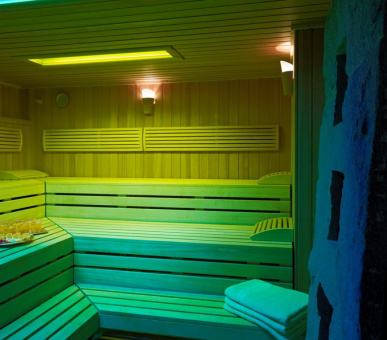 Фото Grand Hotel Kronenhof (Швейцария, Понтресина) 11